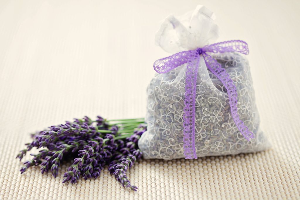 Lavanda